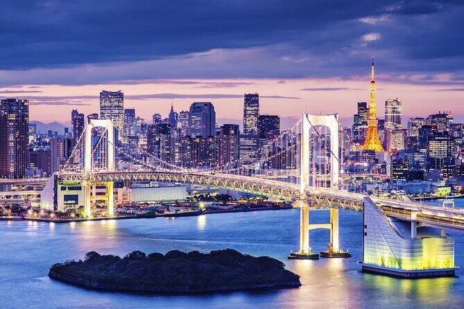 Tokyo Journey: 1-Day Private Van Tour with Hotel Pick-Up - Key Points