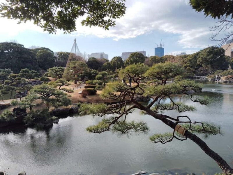 Tokyo: Kiyosumi Garden Guided Tour - A Close Look at Kiyosumi Garden