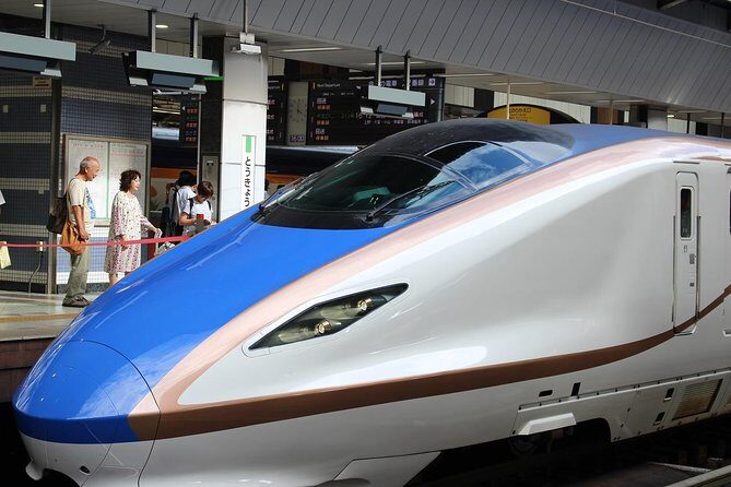 Tokyo Layover Tour with a Local: Private and Tailored to Your Needs - Making the Most of Your Tokyo Layover Tour