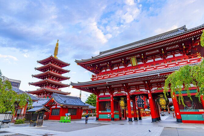 Tokyo Layover Tour with Licensed Guide:Narita Airport Dep - Key Points