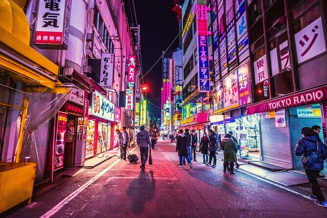 Tokyo Like a Local: Customized Private Tour - Final Thoughts