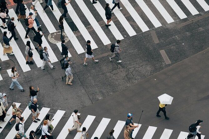 Tokyo Made Easy | Private Chauffeur Day Adventure | Car and Guide - An In-Depth Look at the Itinerary