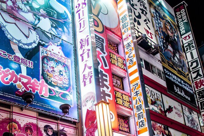Tokyo Made Easy | Private Chauffeur Day Adventure | Car and Guide - Who Is This Tour Best For?