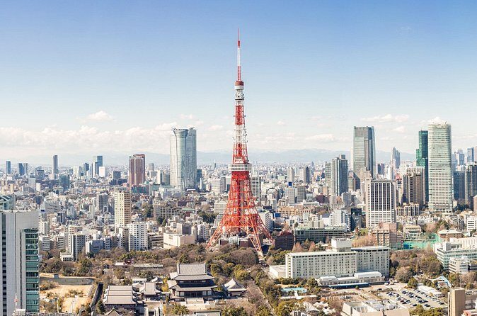 Tokyo Market Skyline and City Guided Tour for Kids and Families - The Sum Up