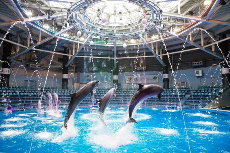Tokyo: Maxell Aqua Park Shinagawa Direct Entry Ticket - Digital art and seasonal performances