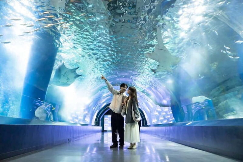 Tokyo: Maxell Aqua Park Shinagawa Direct Entry Ticket - Marine life highlights