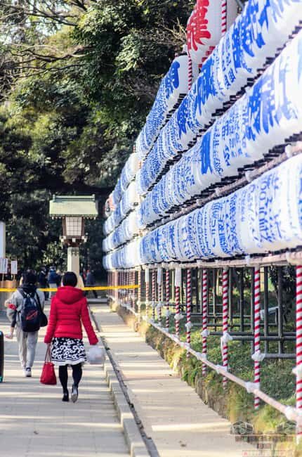 Tokyo: Meiji Jingu, Harajuku, Shibuya, and Shijuku Tour - Introduction
