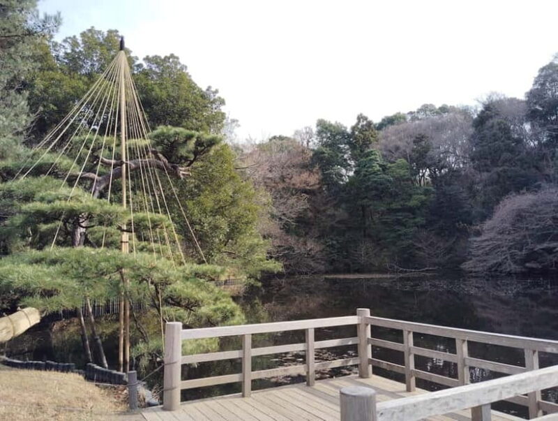 Tokyo: Meiji Jingu Shrine & Inner Garden Guided Tour (2h) - Final Thoughts: Who Will Love This Tour?