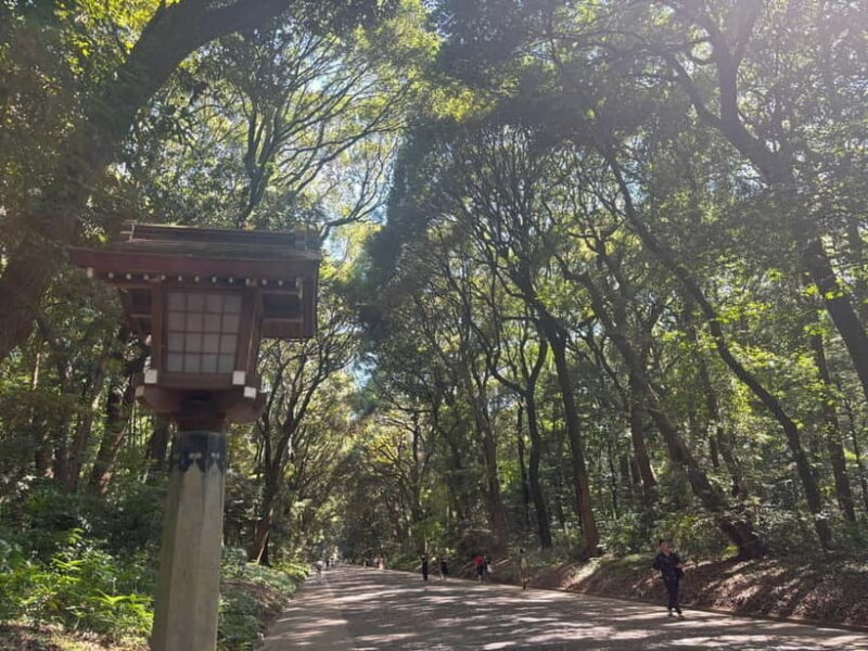 Tokyo: Meiji Jingu, Yoyogi Park & Takeshita Street Tour - The Value of the Experience