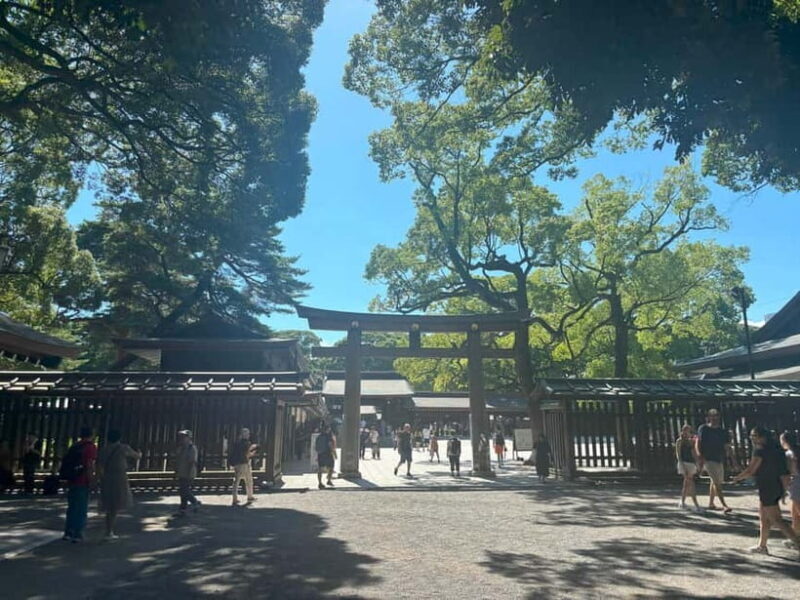 Tokyo: Meiji Jingu, Yoyogi Park & Takeshita Street Tour - Practical Tips for Participants