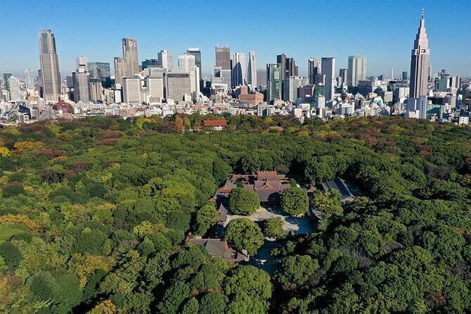 Tokyo: Meiji Shrine Historical Tour with Local Guide - Key Points