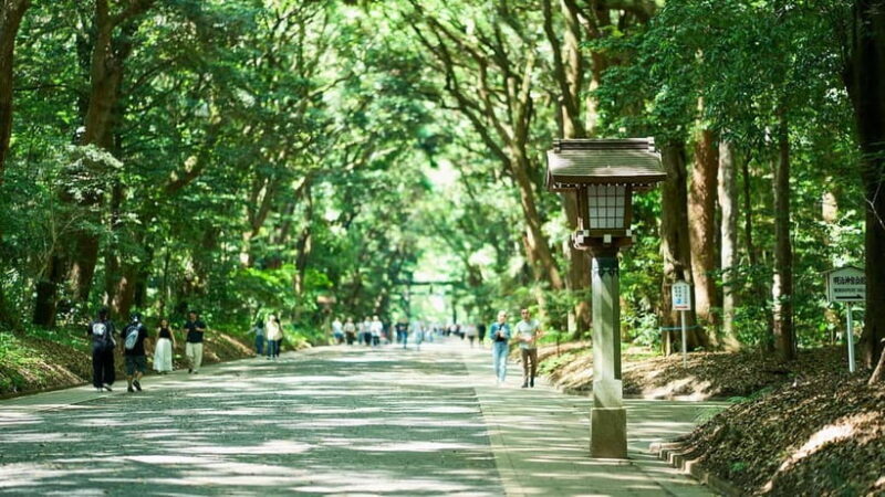 Tokyo: Meiji Shrine Walking Tour Shinto & Imperial System - A Detailed Look at the Meiji Shrine Walking Tour