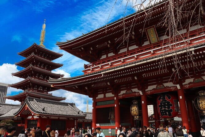 Tokyo Morning Tour : Meiji Shrine, Asakusa and Fire Ritual - The Sum Up