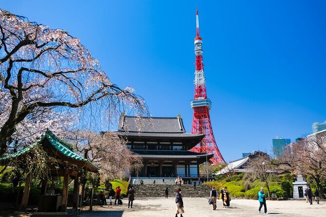 Tokyo Morning Tour Meiji Shrine, Asakusa and Local temple - The Itinerary: What to Expect at Each Stop