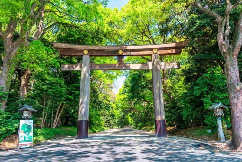 Tokyo Morning Tour: Meiji Shrine, Asakusa & Fish Market - A Closer Look at the Itinerary