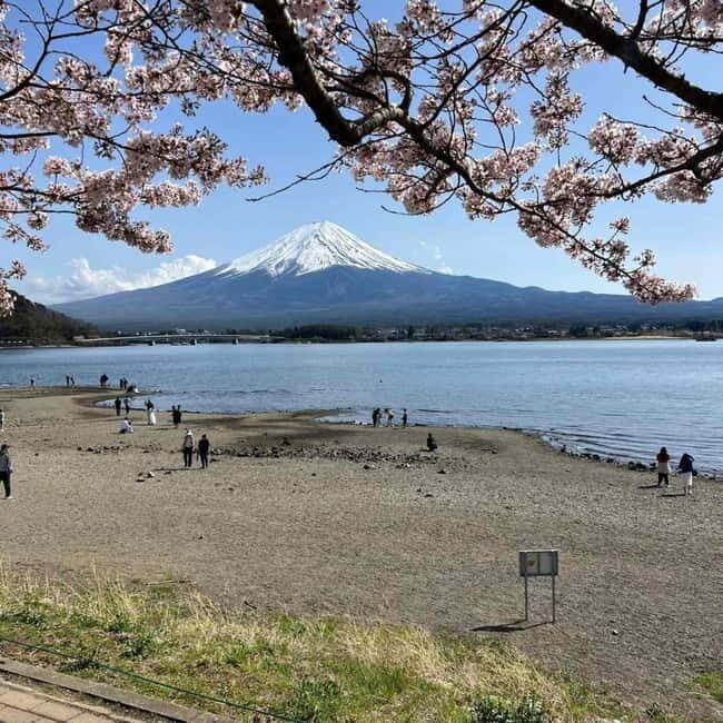 Tokyo: Mount Fuji Affordable Customizable Private 1-Day Tour - Why This Tour Stands Out