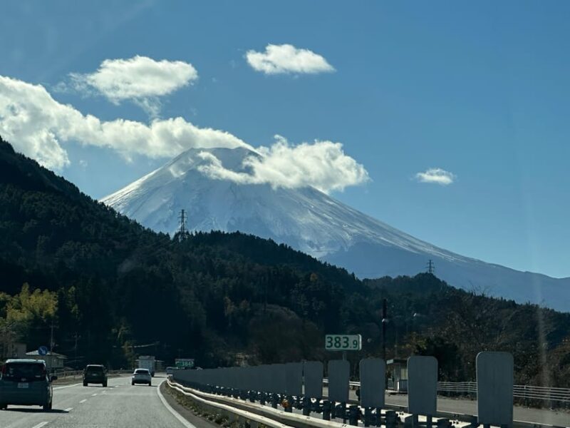Tokyo: Mount Fuji and Hakone Private Sightseeing Day Tour - An In-Depth Look at the Tour