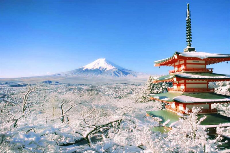 Tokyo: Mount Fuji Day Trip with Scenic & Local Stops - Price and Value: Is It Worth It?