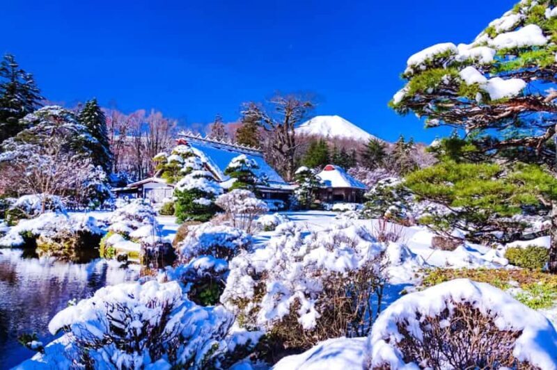 Tokyo: Mount Fuji Day Trip with Scenic & Local Stops - FAQs