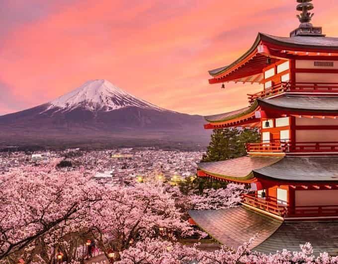 Tokyo: Mount Fuji Full day Private Sightseeing Guided tour - Introduction