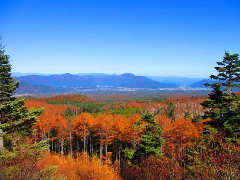 Tokyo: Mount Fuji, Gotemba Outlet, and Hakone Day Trip - Practicalities and Tips