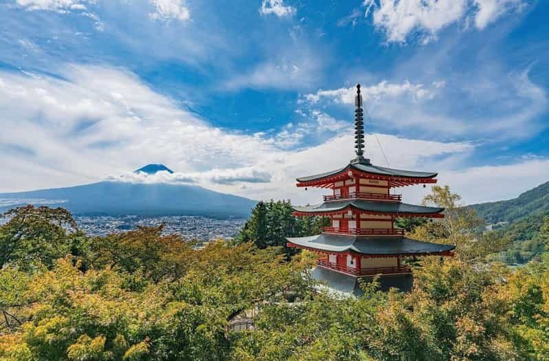 Tokyo: Mount Fuji & Hakone Private Customized Full Day Tour - A Close Look at the Itinerary and What to Expect