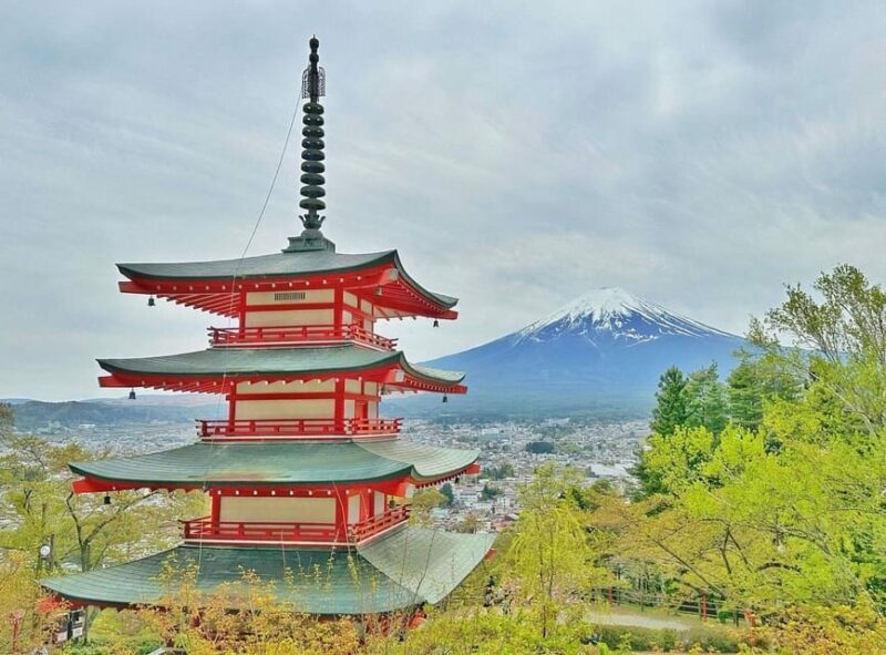 Tokyo: Mount Fuji & Hakone Private Customized Full Day Tour - Who Should Consider This Tour?