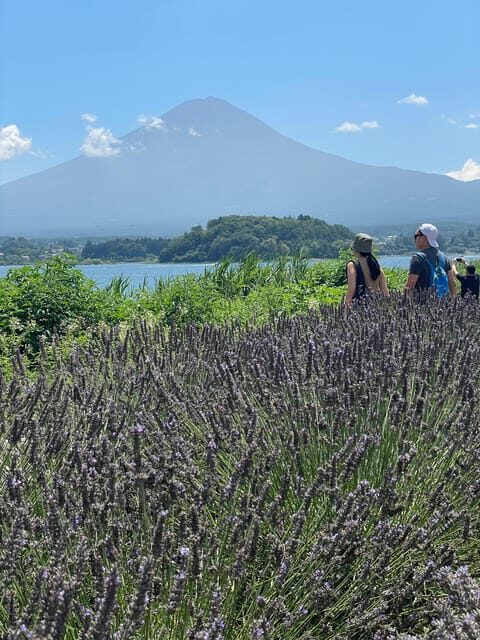 Tokyo: Mount fuji & Hakone Private Day Tour - Exploring the Itinerary: What You Can Expect