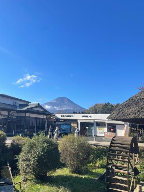 Tokyo: Mount fuji & Hakone Private Day Tour - The Real Value: Analyzing the Cost and Experience