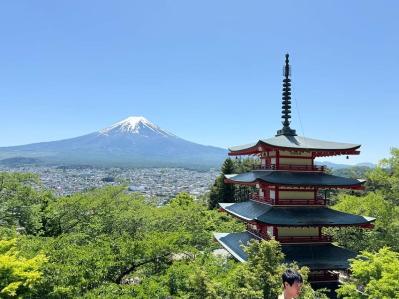 Tokyo: Mount fuji & Hakone Private Day Tour - Who Should Consider This Tour?