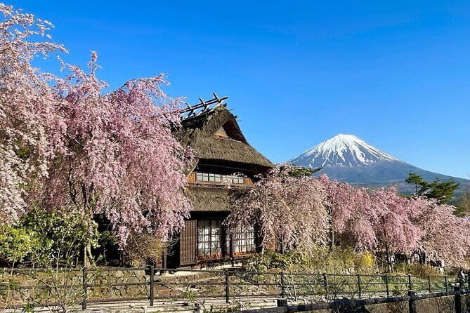 Tokyo: Mount Fuji Must-see Attractions One Day Sightseeing Tour - Who Should Consider This Tour?
