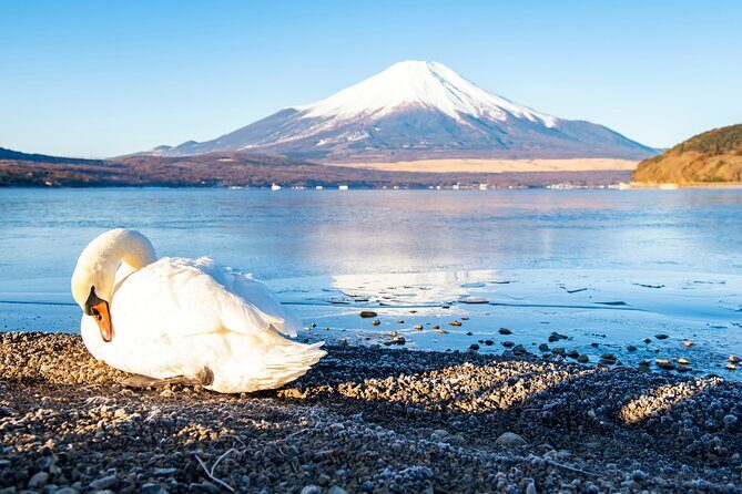 Tokyo: Mount Fuji One Day Trip Lake Kawaguchi & Lake Yamanaka - Transportation, Timing, and Group Dynamics