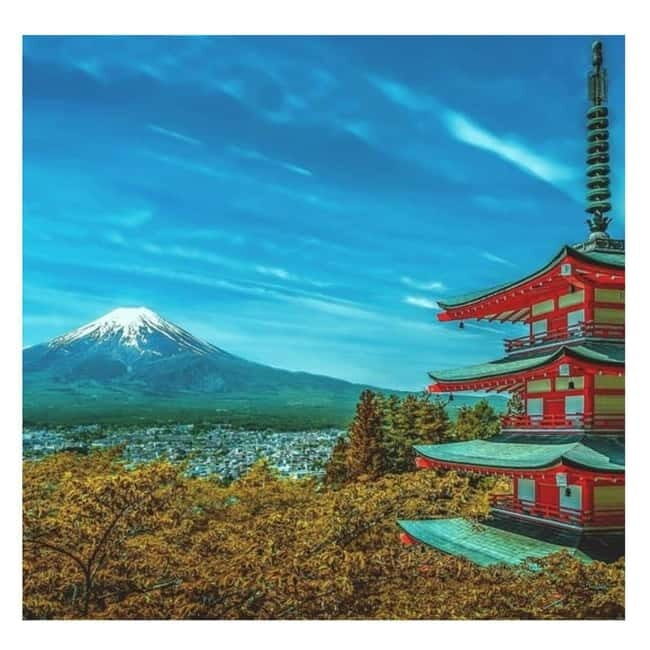 Tokyo: Mount Fuji Private Day Tour With Low Price Guarantee - The Allure of a Private Tour