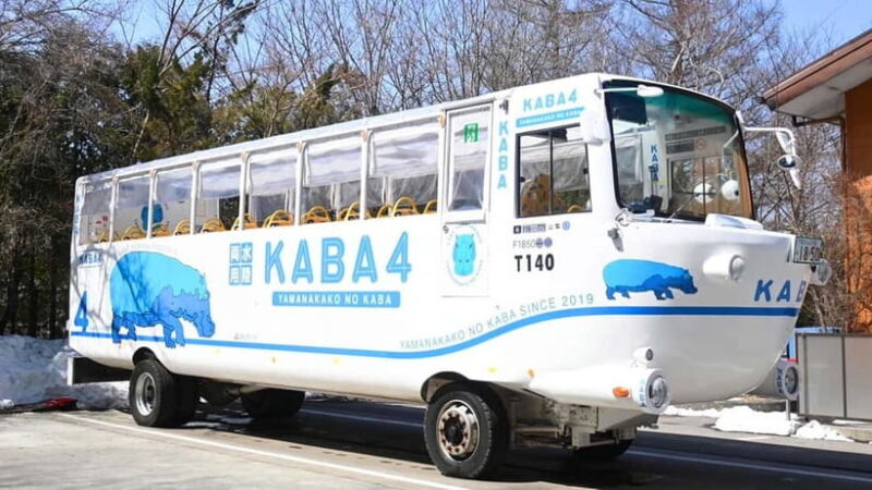 Tokyo: Mount Fuji Views and KABA Amphibious Bus Day Tour - Who Should Consider This Tour?