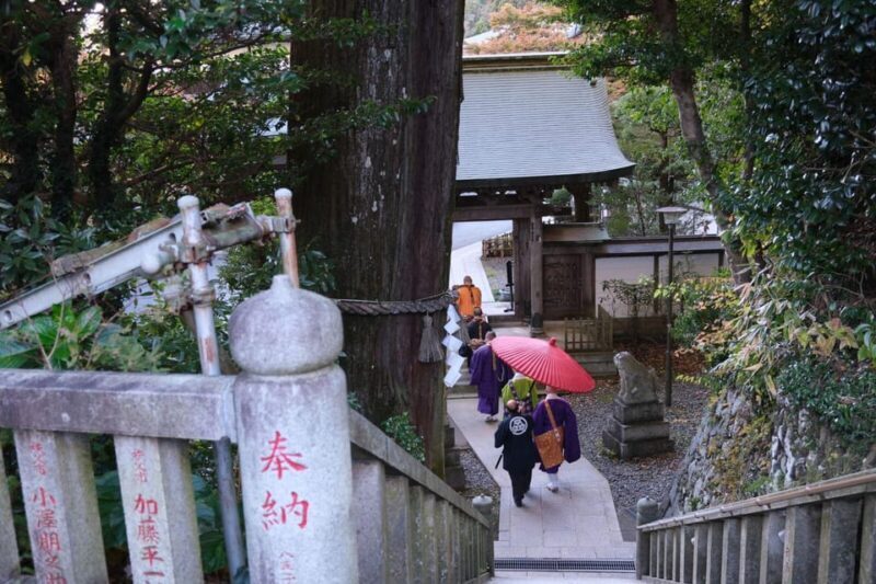 Tokyo: Mount Takao Guided Hiking Tour - Key Points