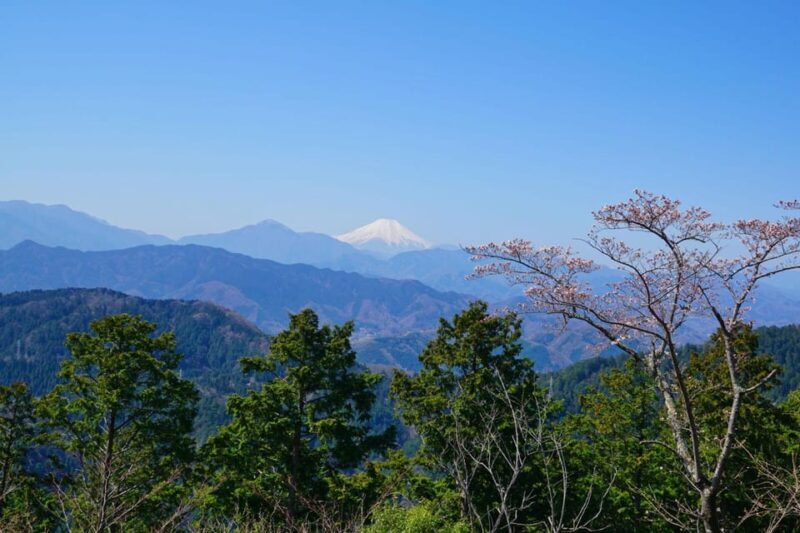 Tokyo: Mount Takao Guided Hiking Tour - The Sum Up