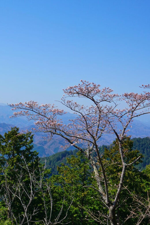 Tokyo: Mount Takao Guided Hiking Tour - FAQs