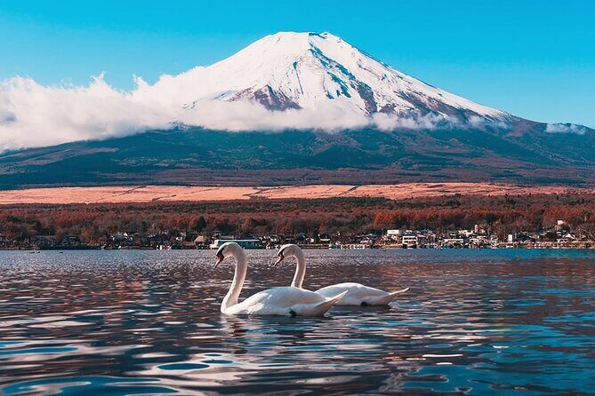 Tokyo Mt Fuji and Hakone Private Tour with English Driver - Final Thoughts
