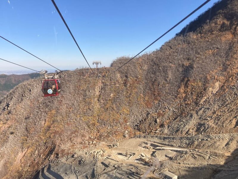 Tokyo: Mt. Fuji and Hakone Tour with Cable Car and Cruise - FAQ