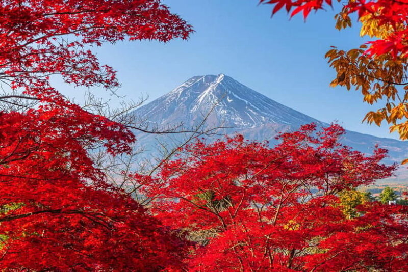 Tokyo: Mt. Fuji, Arakurayama Sengen Park, Oshino Hakkai Tour - Key Points