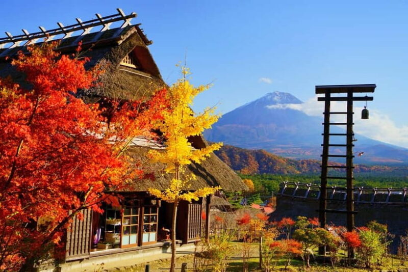 Tokyo: Mt. Fuji, Arakurayama Sengen Park, Oshino Hakkai Tour - Discovering Mount Fuji and Its Surroundings