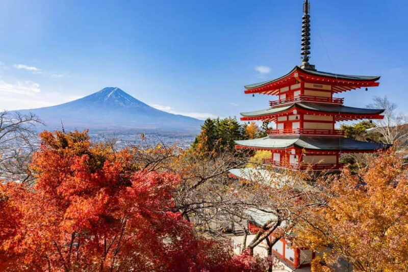Tokyo: Mt. Fuji, Arakurayama Sengen Park, Oshino Hakkai Tour - Who Should Consider This Tour?