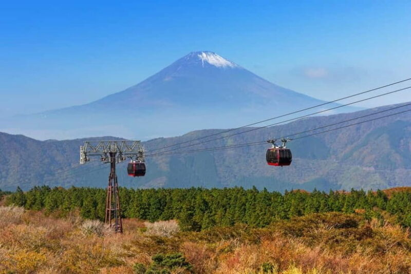 Tokyo: Mt. Fuji & Hakone, FREE Pirate Ship & Ropeway - A Closer Look at the Tour Experience