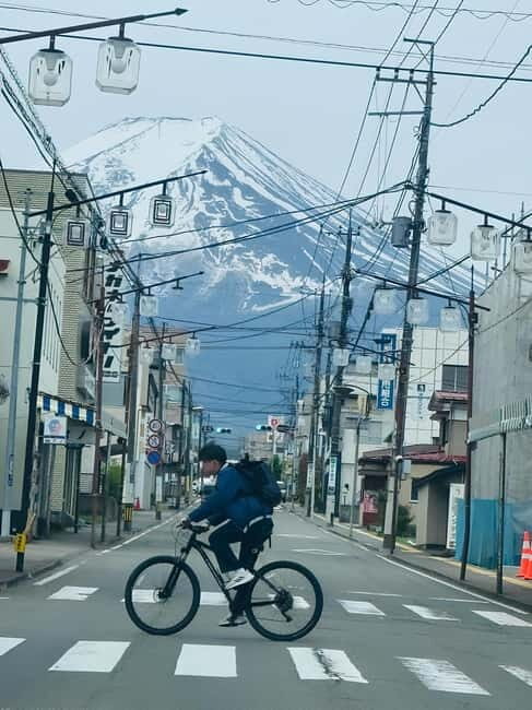 Tokyo: Mt. Fuji & Hakone Private Custom Tour English Driver - Key Points