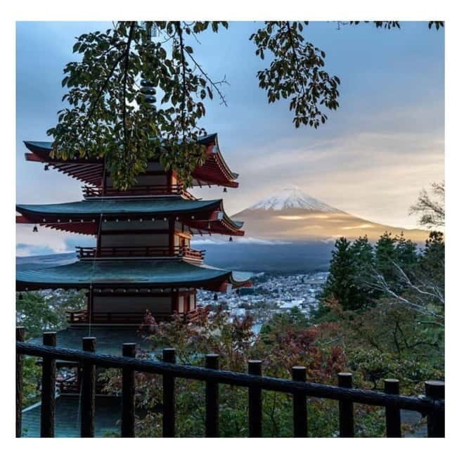 Tokyo: Mt-Fuji & Hakone Private Custom Tour English Driver - Who Will Love This Tour?