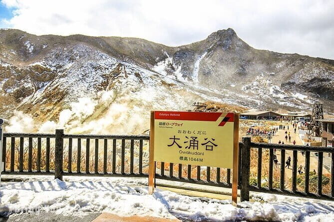 Tokyo Mt. Fuji Hakone Shrine, Owakudani, Lake Yamanakai Day Tour - The Itinerary in Detail