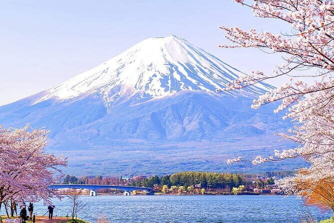 Tokyo Mt. Fuji Hakone Shrine, Owakudani, Lake Yamanakai Day Tour - Practical Tips for Travelers
