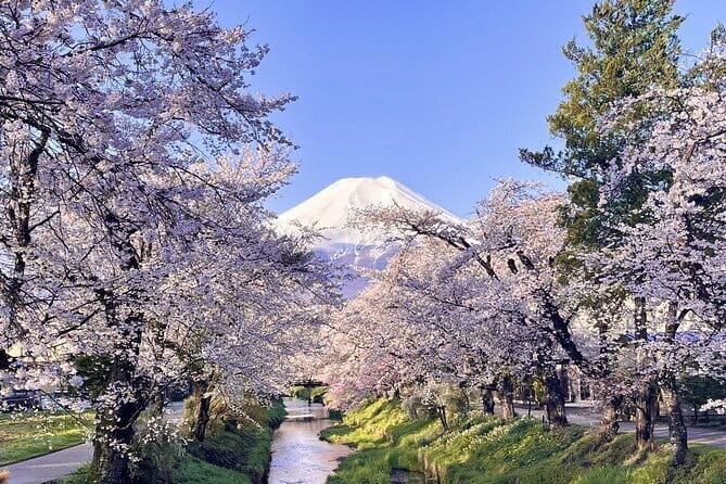 Tokyo Mt. Fuji Hakone Shrine, Owakudani, Lake Yamanakai Day Tour - Who Should Consider This Tour?