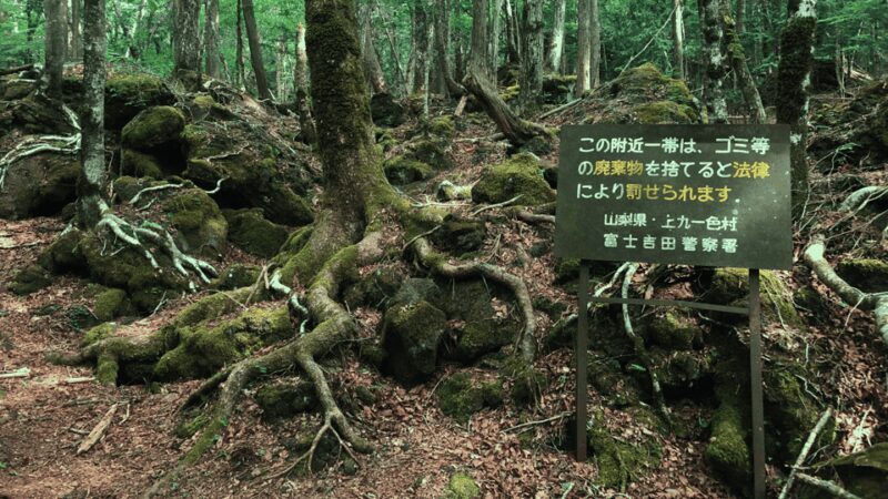 Tokyo: Mt. Fuji Hidden Gems and Aokigahara Forest Tour - The Journey Into the Hidden Side of Mt. Fuji
