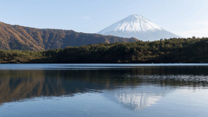 Tokyo: Mt. Fuji Hidden Gems and Aokigahara Forest Tour - Final Thoughts: Is It Worth It?